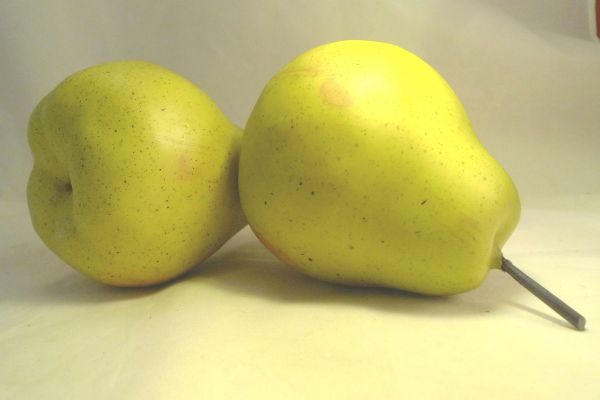 Green Weighted Pear (Life-Size)